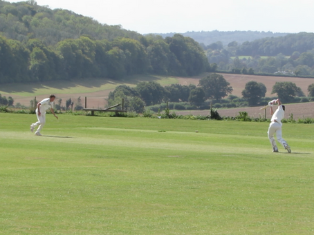 Brigands v Butterflies, 25 August 2024
