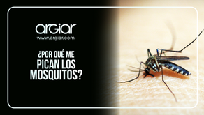 ¿Por qué me pican más los mosquitos?