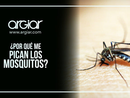 ¿Por qué me pican más los mosquitos?