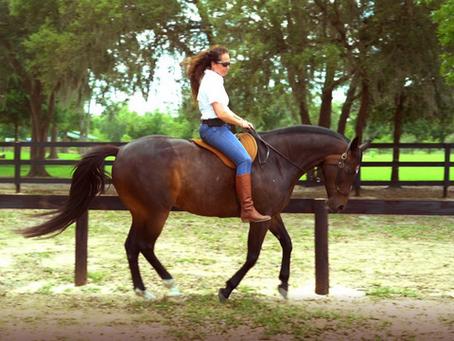 Riding Bitless & Bareback is the “Beste” & Safest Way to Ride...