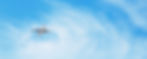 Beautiful Panoramic Background with flying plane in blue sky. Passenger airplane with land