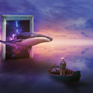 Evolution: How vs. What