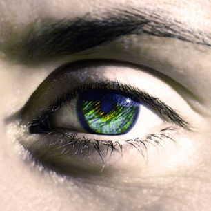 Evolution Evidence - in you!