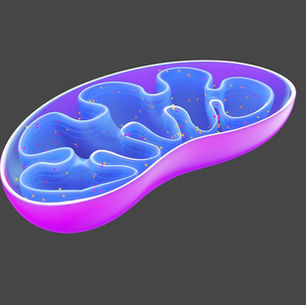 Moms, Termites, and Mitochondria