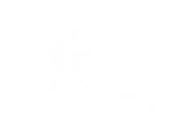 Untitled design (12).png
