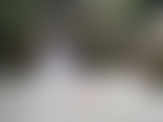 Laos pur in Luang Prabang