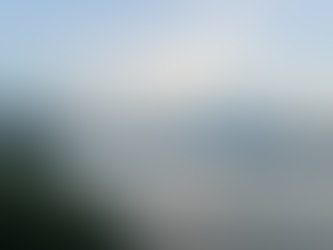 Im Schatten des Fuji