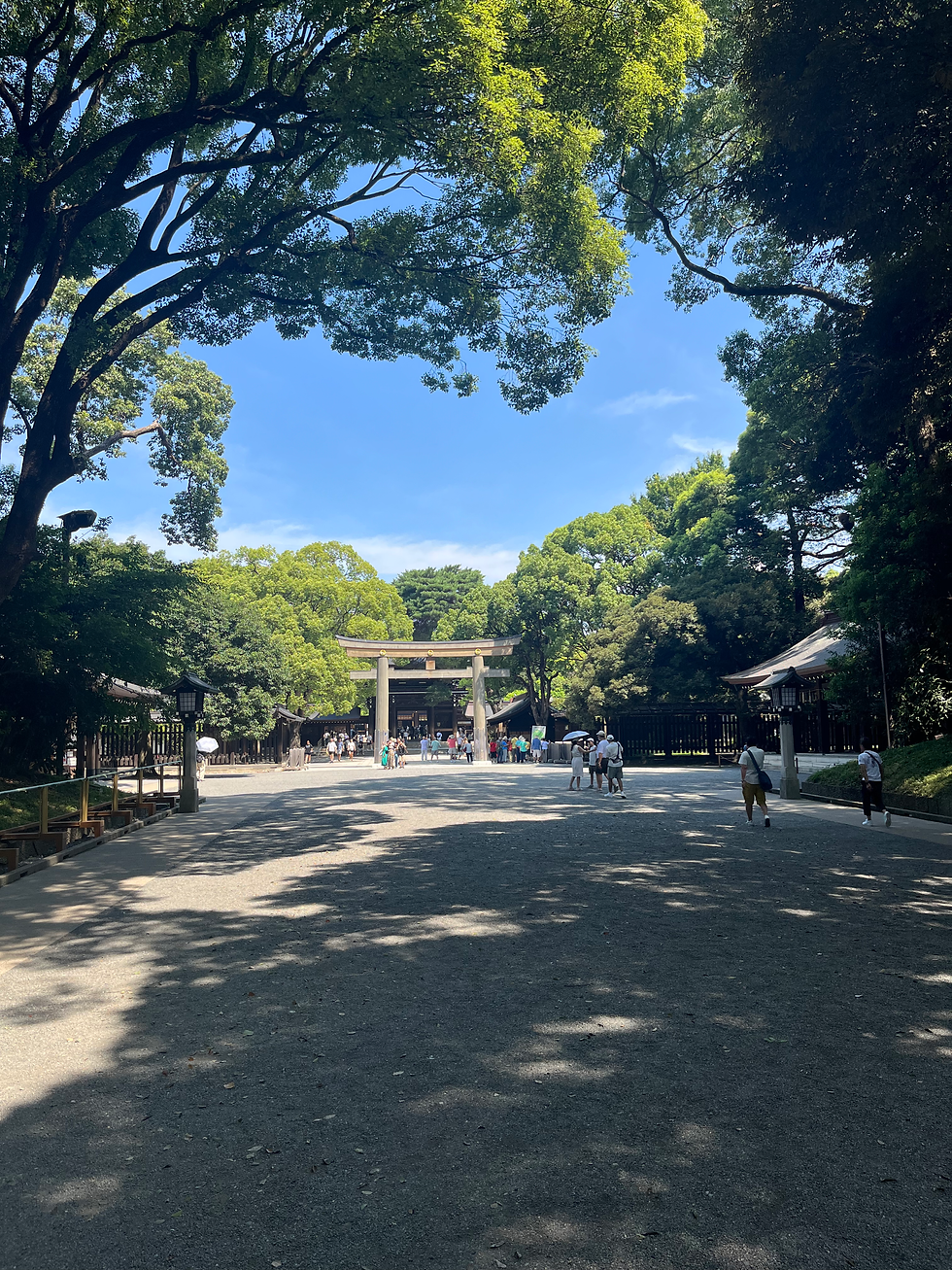 Der Meiji-Schrein ist von einem dichten Stadtwald umgeben.