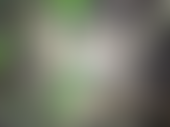 Auf Nachtsafari in Khao Sok