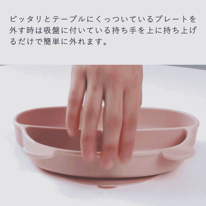 強力な吸盤