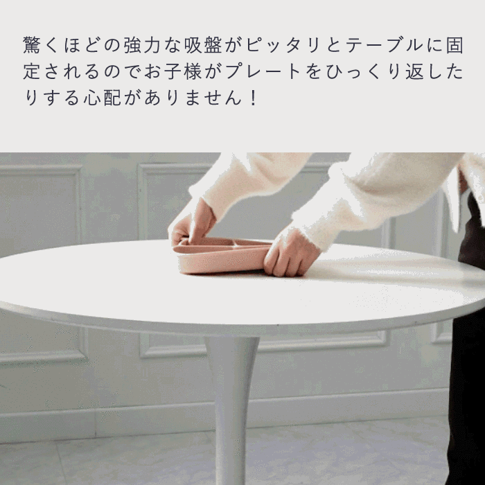 強力な吸盤