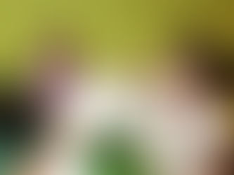 How We Make Learning Mandarin Fun: The Science of Play