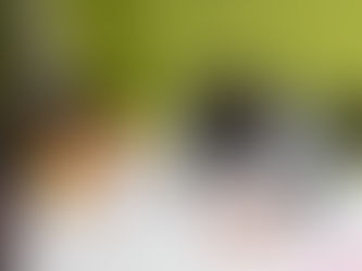 mandarin learning journey