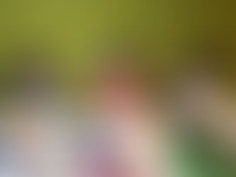 Why UES Parents Choose Solarfish Mandarin for Their Kids