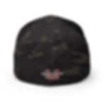 UAP Flexfit Hat