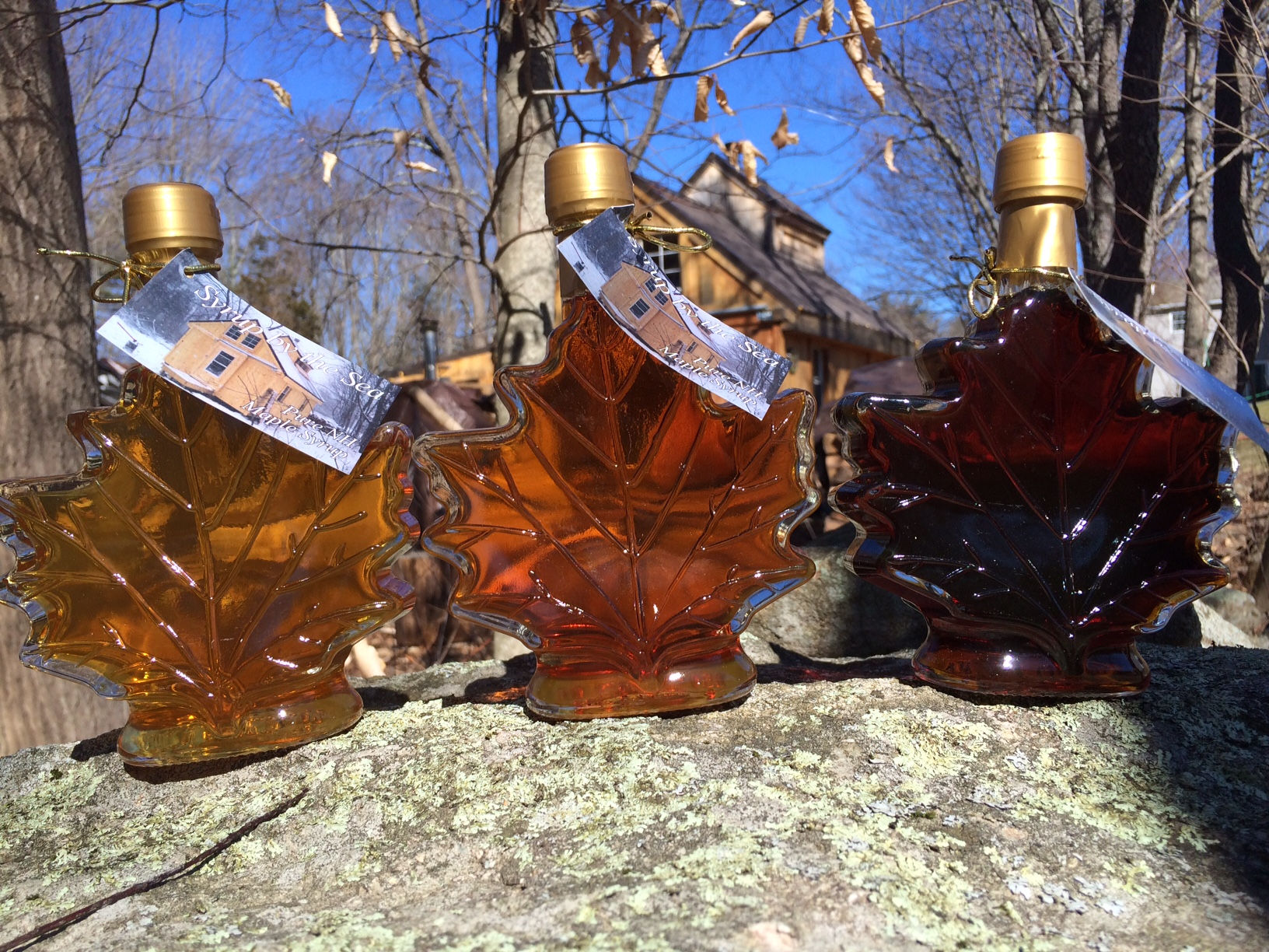 Maple Leaf 250ml/8.4 ounce bottle Qty 1