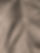 pexels-gustavo-cruz-744734-1592119_edited.jpg