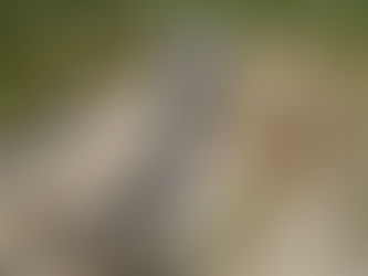 Mañana se pondrá en servicio el puente de General Viejo