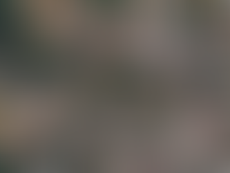 San Isidro tendrá un mega Ebais, construcción comenzaría en el 2022