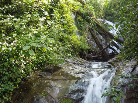 Concejo pretende buscar recursos en AYA para apoyar a Fudebiol