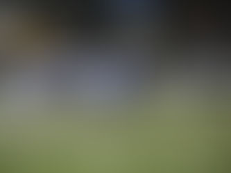 Pérez Zeledón es goleado y sigue de 11 en el torneo