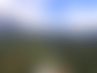 Proyecto busca hacer de la región un destino para el cine