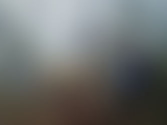 Amistad-PacÃfico fortalece las brigadas voluntarias contra incendios forestales