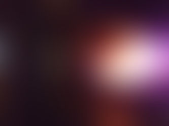 Diputada no olvide sus raíces dijo presidente municipal