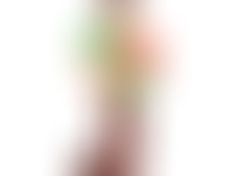 Bono Proteger llegará a nuevos beneficiarios a través de un depósito único