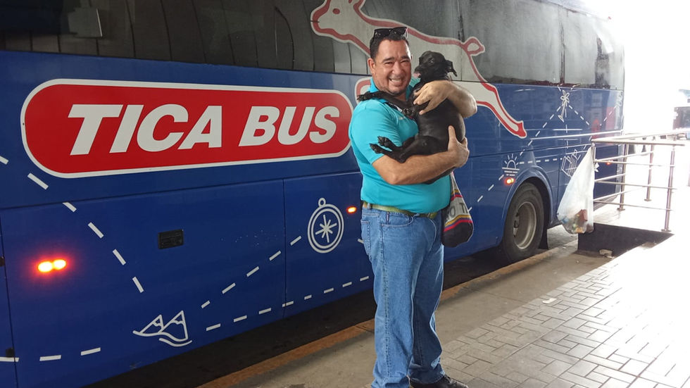 Abelito: el perrito que se robó el corazón de los pasajeros de Tica Bus