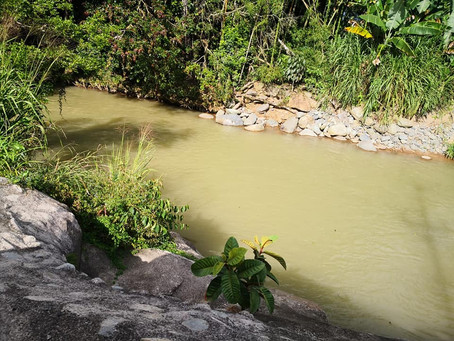 Finca que ocasiona malos olores ya tiene orden sanitaria