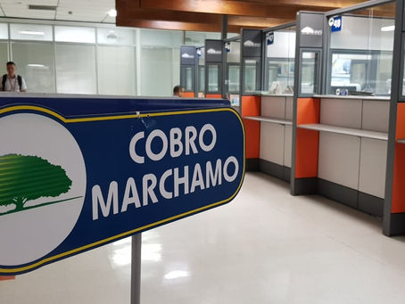INS pondrá a cobro el marchamo 2022 el lunes sin rebajas
