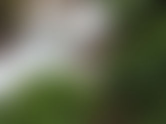 Regidores se pronuncian en contra de proyecto de Ley del Agua 20.212