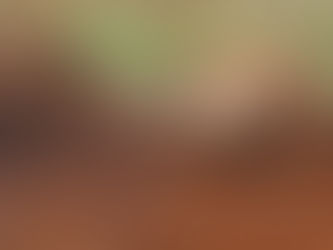 José Ricardo Quirós dominó Autocross en Pérez Zeledón