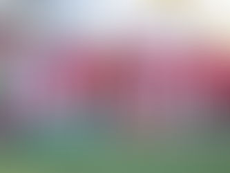 Bryan segura esta a la puertas de la final siendo protagonista