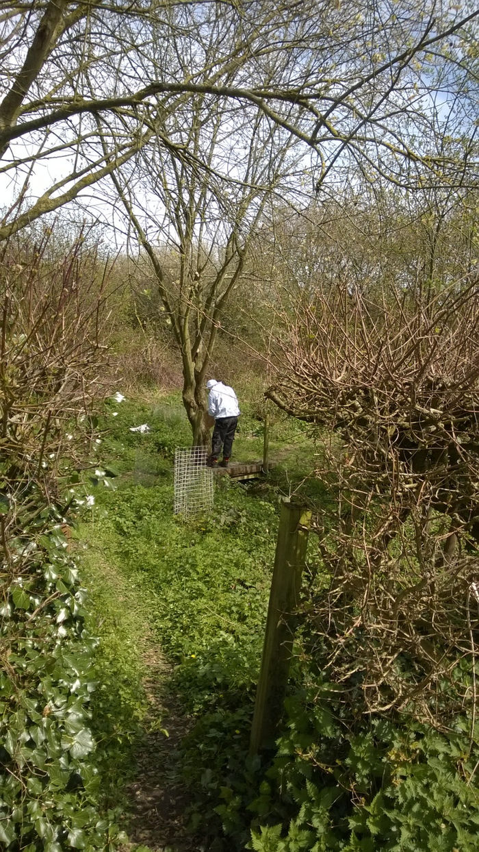 The Bee man cometh. And standeth around rather a lot...