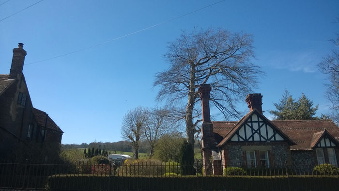 Huzzah!! A glorious Spring day.