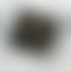 Neuromorphic Computing