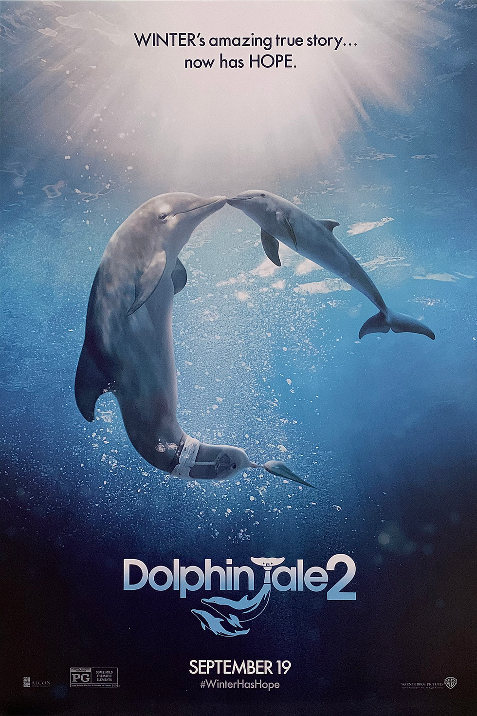 Dolphin Tale 2