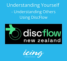 Understand yourself and others using Discflow | Icing Training