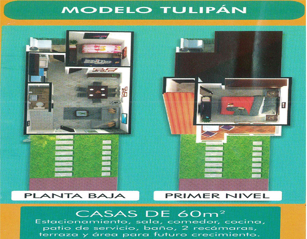 TULIPAN