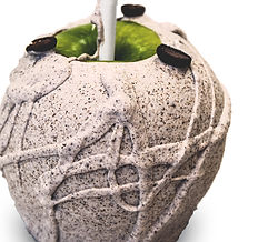 Manzana de cafe.jpg