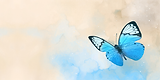 Add a little bit of body text (9).png