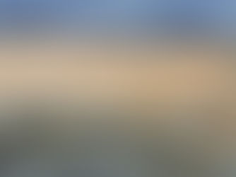 Understanding Bioremediation