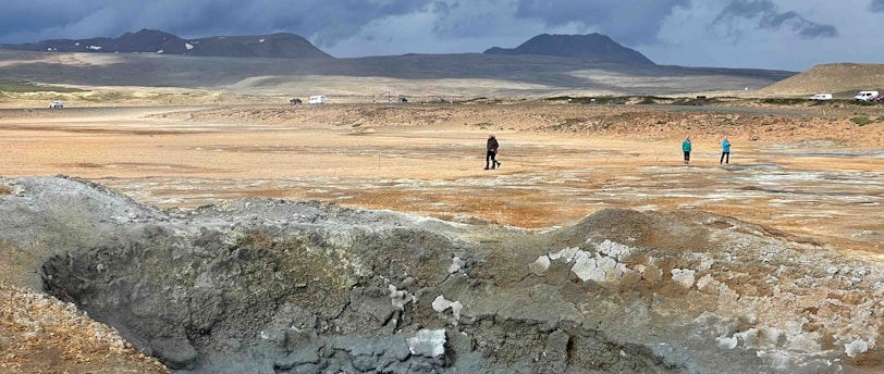 Understanding Bioremediation