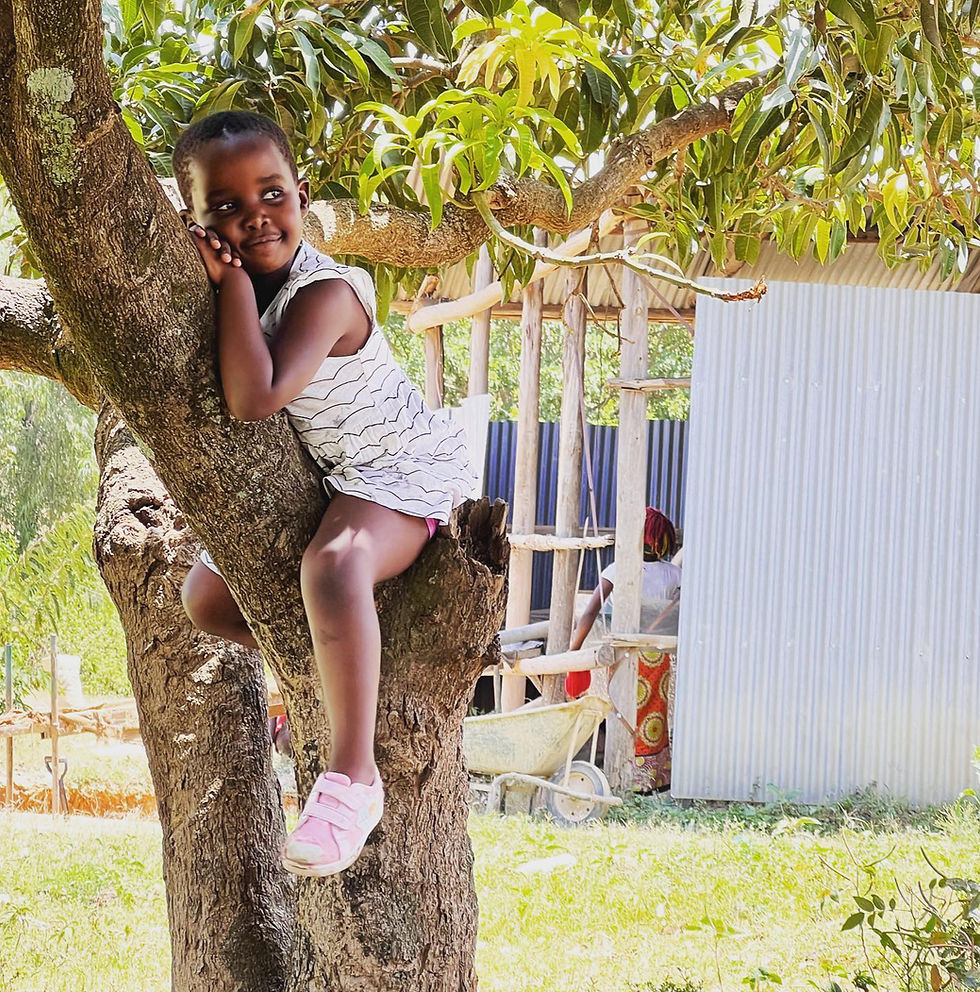 Young girl smiling while sitting in a tree outdoors.