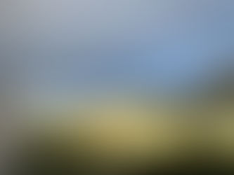 Douro Valley in April: Sip, Savor, and Soak in Spring