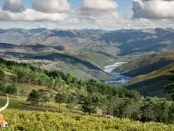 Unveiling the Magic of Gerês National Park