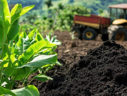 Application of Biochar in Agriculture