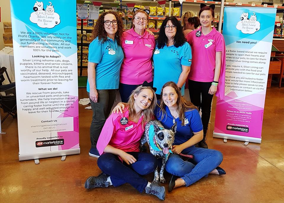 petstock cat enclosure